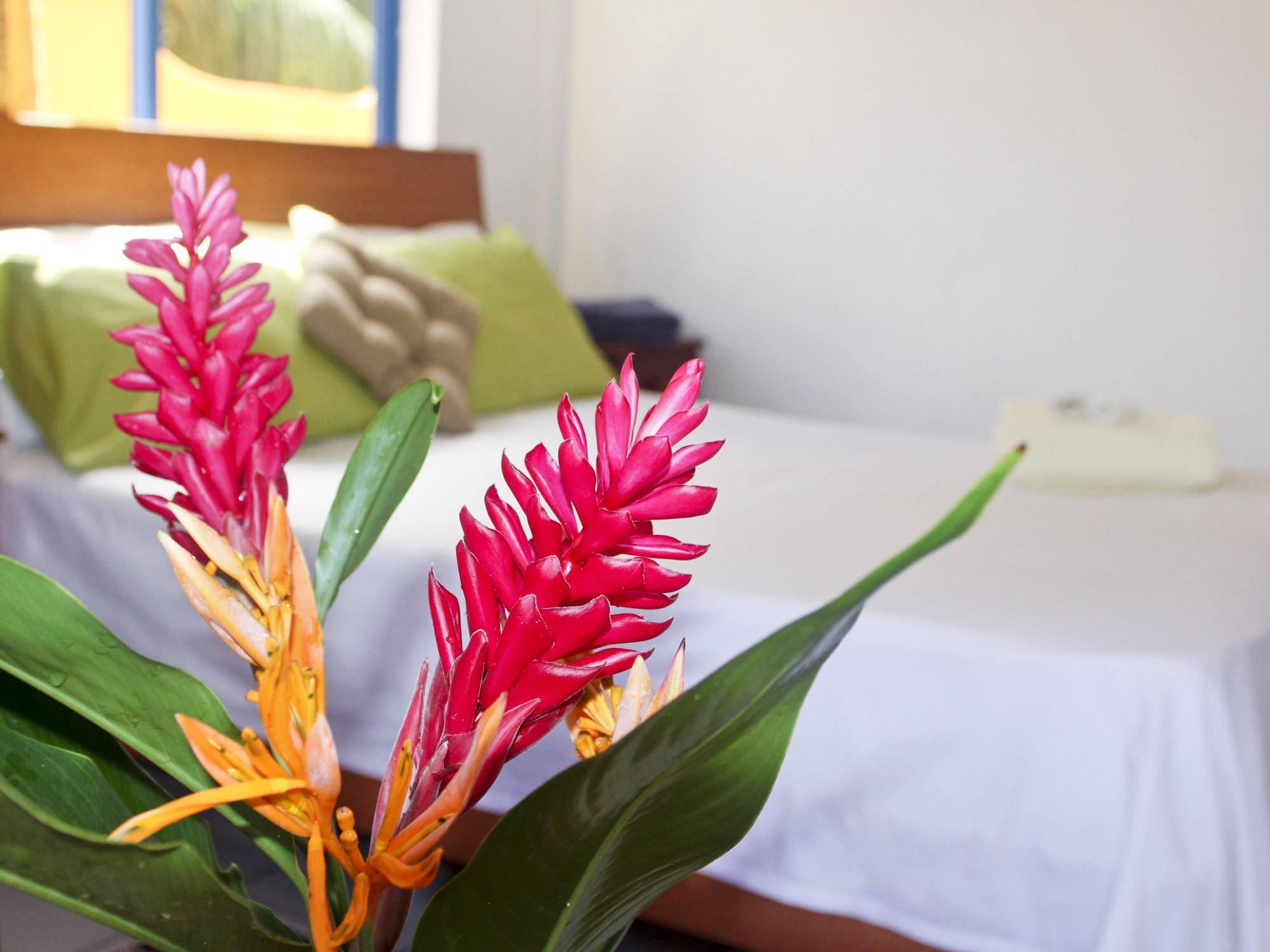 Vicky'S Holiday Apartment Beau Vallon  Exteriér fotografie